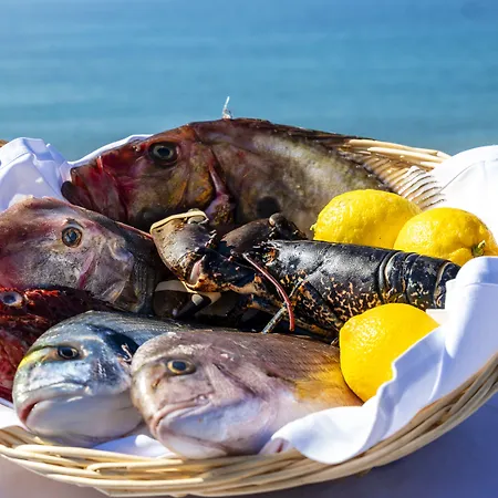 Excelsior فندق Saint-Raphaël