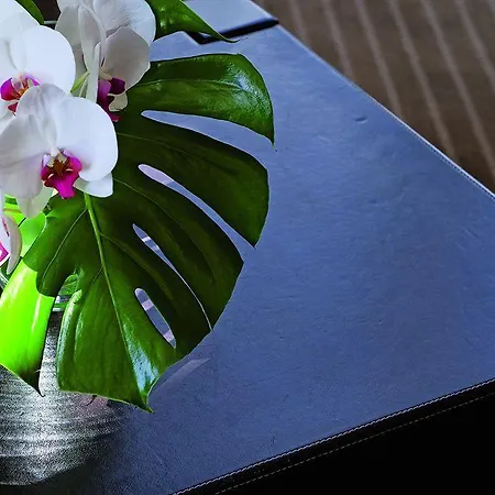 Hotel Excelsior Saint-Raphael (Var)